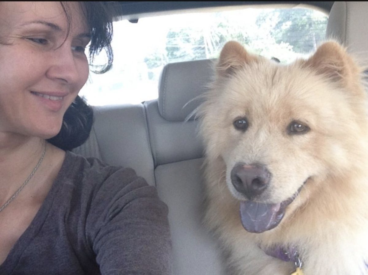 Buddy in the back seat of a car with Alexandra