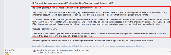 Bitcointalk post: Alexandra's message about Buddy's condition and the locked account
